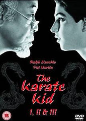 The Karate Kid / The Karate Kid Part 2/The Karate Kid Part 3 [DVD]